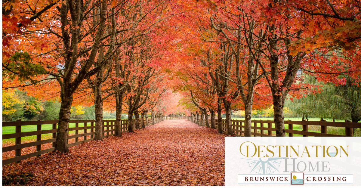 Scenic fall path near Brunswick Crossing promoting family-friendly autumn activities and seasonal charmLooking for fun and affordable family events this October near Brunswick, MD? Discover fall festivals, pumpkin patches, scenic trails, and more around Brunswick Crossing.  When the days get shorter and the leaves begin to turn, something special happens at Brunswick Crossing. Fall doesn’t just arrive — it becomes part of your everyday life. Front porches fill with pumpkins, walking trails transform into tunnels of color, and neighbors come outside to enjoy the crisp air together.  Living here means you don’t have to travel far to feel the season. Family-friendly events, scenic drives, and small-town celebrations are all just minutes away. With Brunswick Crossing right in the heart of Maryland, you can enjoy everything fall has to offer — without ever feeling rushed.