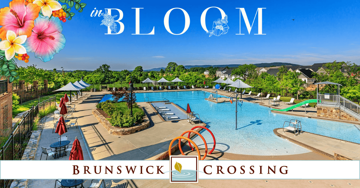 Why Summer is the Perfect Time to Build a New Home at Brunswick Crossing