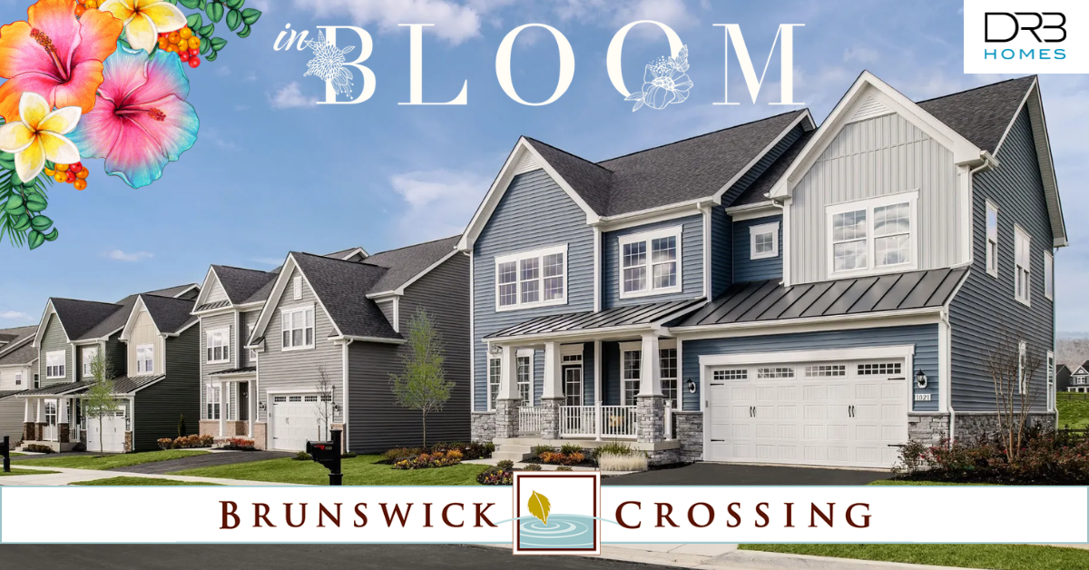 Brunswick Top Builder
