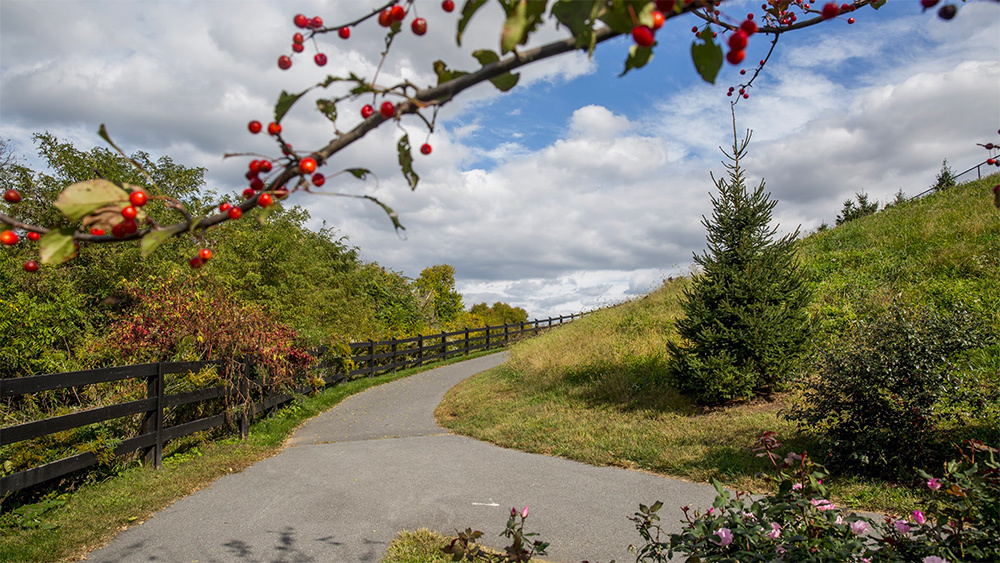 Brunswick Crossing Walking Trail