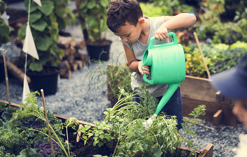 Community Garden