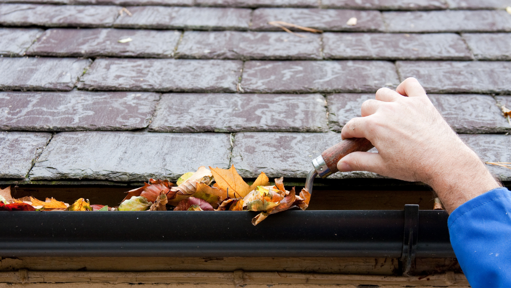 An image of someone cleaning their gutters with a small shovel. 