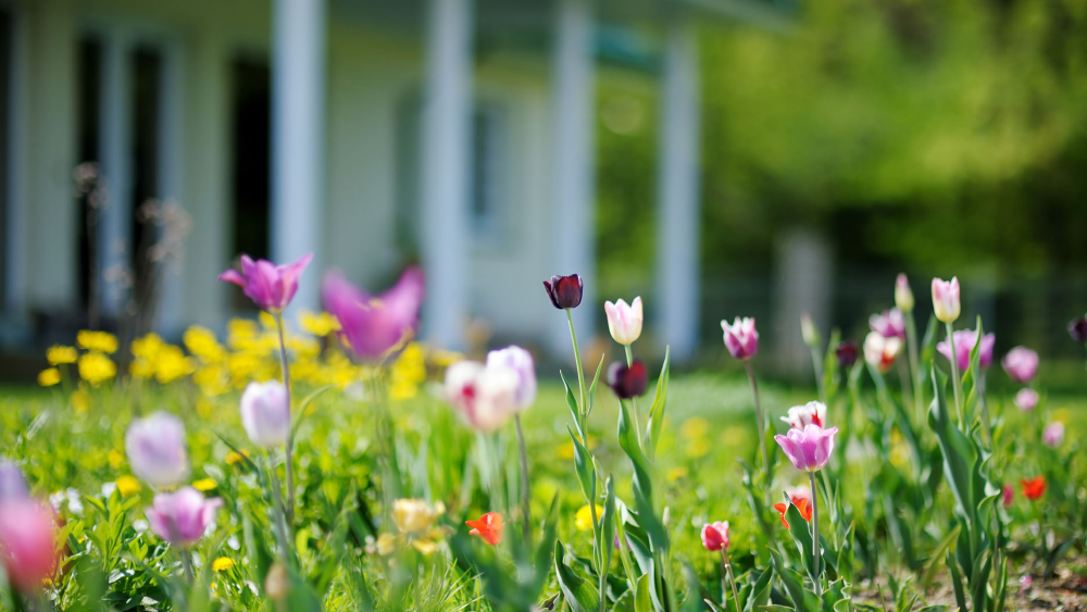 Spring Into Action: A Maintenance Checklist for Homeowners