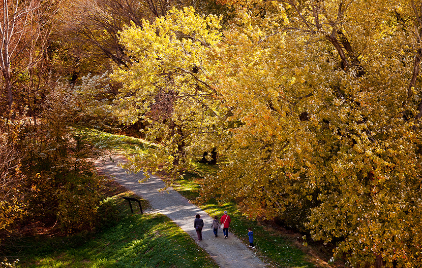 Trails & Walkways